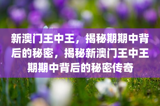 新澳门王中王，揭秘期期中背后的秘密，揭秘新澳门王中王期期中背后的秘密传奇