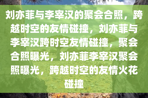 刘亦菲与李宰汉的聚会合照，跨越时空的友情碰撞，刘亦菲与李宰汉跨时空友情碰撞，聚会合照曝光，刘亦菲李宰汉聚会照曝光，跨越时空的友情火花碰撞