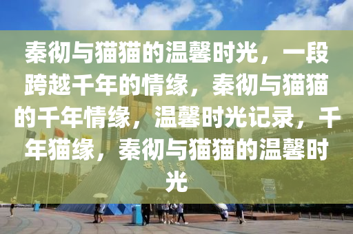 秦彻与猫猫的温馨时光，一段跨越千年的情缘，秦彻与猫猫的千年情缘，温馨时光记录，千年猫缘，秦彻与猫猫的温馨时光
