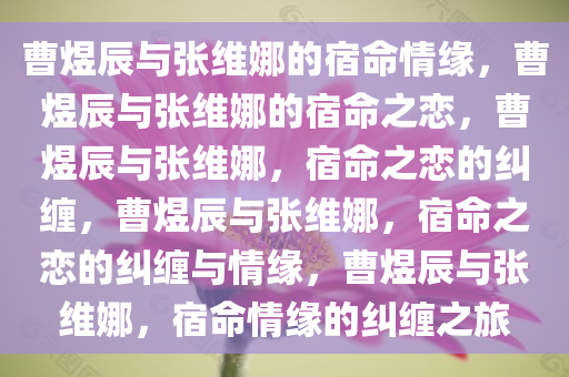 曹煜辰与张维娜的宿命情缘，曹煜辰与张维娜的宿命之恋，曹煜辰与张维娜，宿命之恋的纠缠，曹煜辰与张维娜，宿命之恋的纠缠与情缘，曹煜辰与张维娜，宿命情缘的纠缠之旅