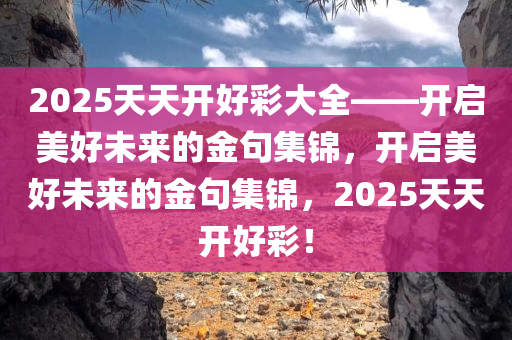 2025天天开好彩大全——开启美好未来的金句集锦，开启美好未来的金句集锦，2025天天开好彩！