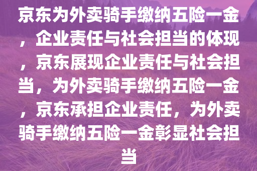 京东为外卖骑手缴纳五险一金，企业责任与社会担当的体现，京东展现企业责任与社会担当，为外卖骑手缴纳五险一金，京东承担企业责任，为外卖骑手缴纳五险一金彰显社会担当