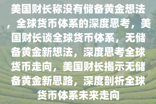 美国财长称没有储备黄金想法，全球货币体系的深度思考，美国财长谈全球货币体系，无储备黄金新想法，深度思考全球货币走向，美国财长揭示无储备黄金新思路，深度剖析全球货币体系未来走向