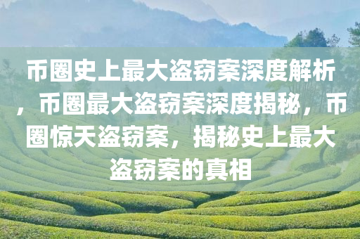 币圈史上最大盗窃案深度解析，币圈最大盗窃案深度揭秘，币圈惊天盗窃案，揭秘史上最大盗窃案的真相