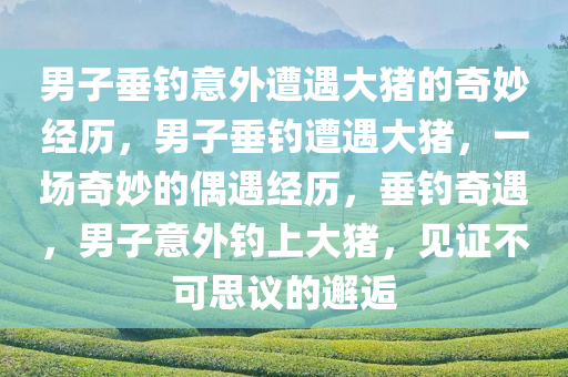 男子垂钓意外遭遇大猪的奇妙经历，男子垂钓遭遇大猪，一场奇妙的偶遇经历，垂钓奇遇，男子意外钓上大猪，见证不可思议的邂逅