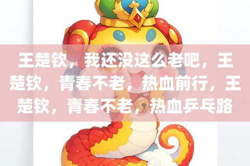 王楚钦，我还没这么老吧，王楚钦，青春不老，热血前行，王楚钦，青春不老，热血乒乓路