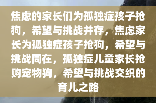 焦虑的家长们为孤独症孩子抢狗，希望与挑战并存，焦虑家长为孤独症孩子抢狗，希望与挑战同在，孤独症儿童家长抢购宠物狗，希望与挑战交织的育儿之路