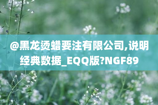 @黑龙烫蜡要注有限公司,说明经典数据_EQQ版?NGF89