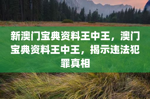 新澳门宝典资料王中王，澳门宝典资料王中王，揭示违法犯罪真相今晚必出三肖2025_2025新澳门精准免费提供·精确判断