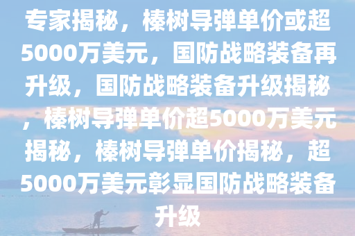 专家揭秘，榛树导弹单价或超5000万美元，国防战略装备再升级，国防战略装备升级揭秘，榛树导弹单价超5000万美元揭秘，榛树导弹单价揭秘，超5000万美元彰显国防战略装备升级