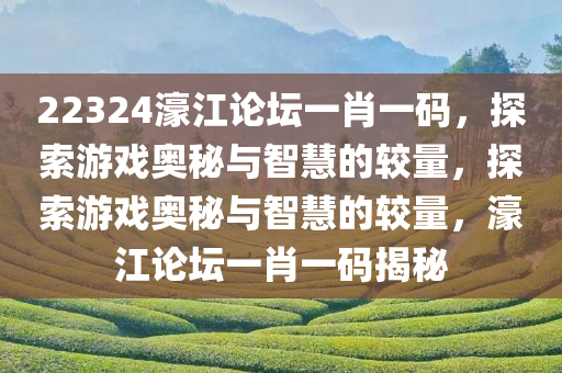 22324濠江论坛一肖一码，探索游戏奥秘与智慧的较量，探索游戏奥秘与智慧的较量，濠江论坛一肖一码揭秘