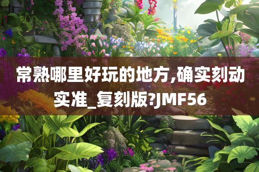常熟哪里好玩的地方,确实刻动实准_复刻版?JMF56
