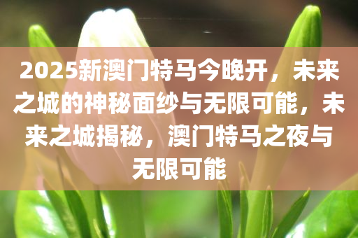 2025新澳门特马今晚开，未来之城的神秘面纱与无限可能，未来之城揭秘，澳门特马之夜与无限可能