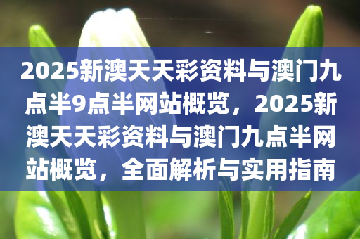 2025新澳天天彩资料与澳门九点半9点半网站概览，2025新澳天天彩资料与澳门九点半网站概览，全面解析与实用指南