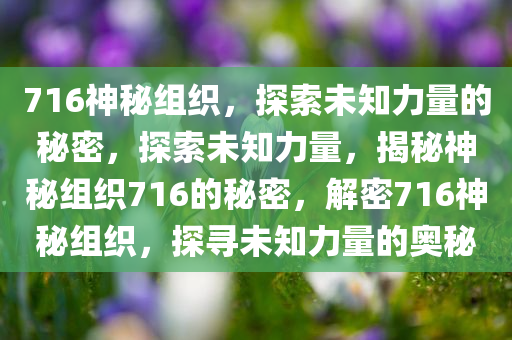 716神秘组织，探索未知力量的秘密，探索未知力量，揭秘神秘组织716的秘密，解密716神秘组织，探寻未知力量的奥秘