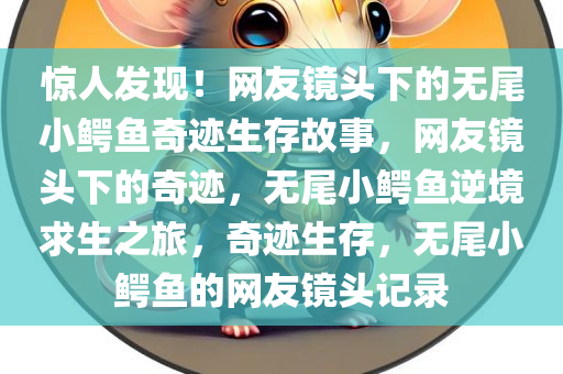 huangpingyue 第9页