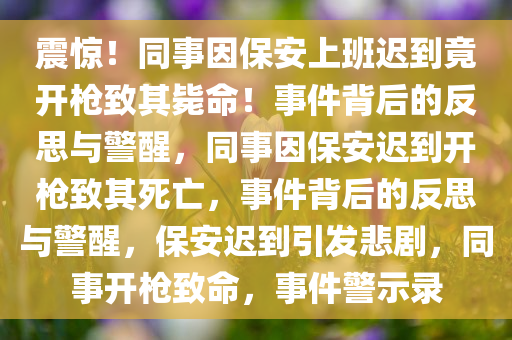 震惊！同事因保安上班迟到竟开枪致其毙命！事件背后的反思与警醒，同事因保安迟到开枪致其死亡，事件背后的反思与警醒，保安迟到引发悲剧，同事开枪致命，事件警示录