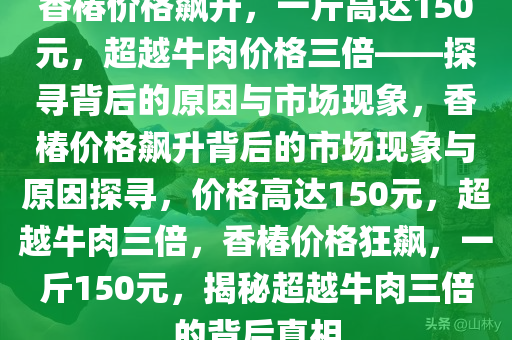 香椿价格飙升，一斤高达150元，超越牛肉价格三倍——探寻背后的原因与市场现象，香椿价格飙升背后的市场现象与原因探寻，价格高达150元，超越牛肉三倍，香椿价格狂飙，一斤150元，揭秘超越牛肉三倍的背后真相
