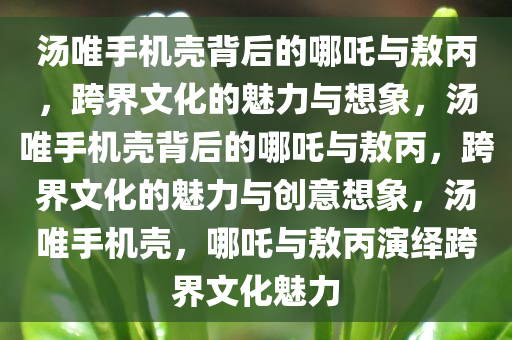 汤唯手机壳背后的哪吒与敖丙，跨界文化的魅力与想象，汤唯手机壳背后的哪吒与敖丙，跨界文化的魅力与创意想象，汤唯手机壳，哪吒与敖丙演绎跨界文化魅力今晚必出三肖2025_2025新澳门精准免费提供·精确判断