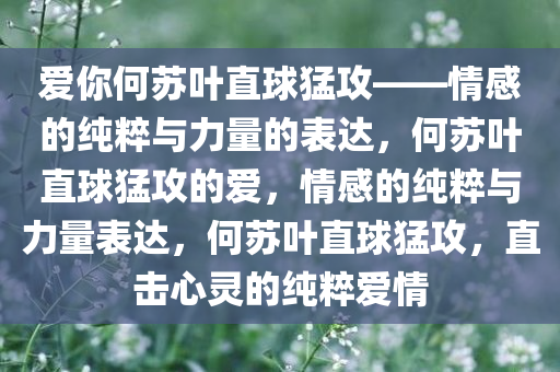爱你何苏叶直球猛攻——情感的纯粹与力量的表达，何苏叶直球猛攻的爱，情感的纯粹与力量表达，何苏叶直球猛攻，直击心灵的纯粹爱情今晚必出三肖2025_2025新澳门精准免费提供·精确判断