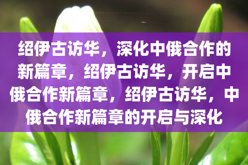 绍伊古访华，深化中俄合作的新篇章，绍伊古访华，开启中俄合作新篇章，绍伊古访华，中俄合作新篇章的开启与深化今晚必出三肖2025_2025新澳门精准免费提供·精确判断