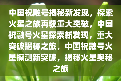 2025年3月1日 第13页