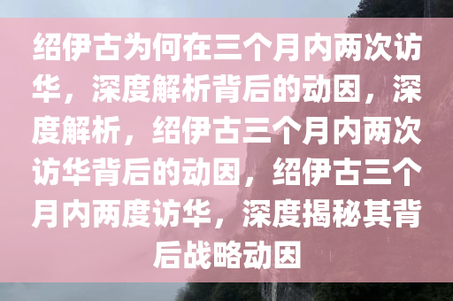 2025年3月1日 第12页