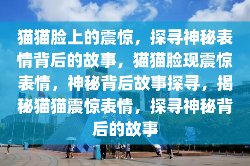 猫猫脸上的震惊，探寻神秘表情背后的故事，猫猫脸现震惊表情，神秘背后故事探寻，揭秘猫猫震惊表情，探寻神秘背后的故事今晚必出三肖2025_2025新澳门精准免费提供·精确判断