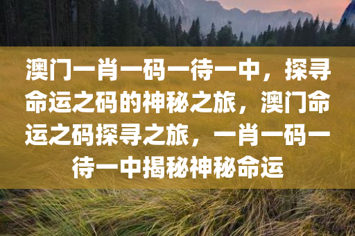 澳门一肖一码一待一中，探寻命运之码的神秘之旅，澳门命运之码探寻之旅，一肖一码一待一中揭秘神秘命运