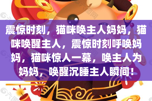 震惊时刻，猫咪唤主人妈妈，猫咪唤醒主人，震惊时刻呼唤妈妈，猫咪惊人一幕，唤主人为妈妈，唤醒沉睡主人瞬间！