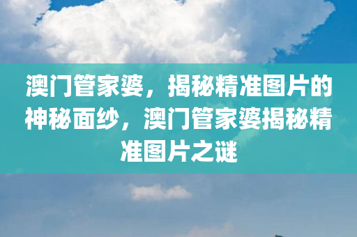 澳门管家婆，揭秘精准图片的神秘面纱，澳门今晚必出三肖2025_2025新澳门精准免费提供·精确判断管家婆揭秘精准图片之谜