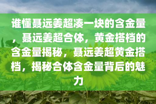 谁懂聂远姜超凑一块的含金量，聂远姜超合体，黄金搭档的含金量揭秘，聂远姜超黄金搭档，揭秘合体含金量背后的魅力今晚必出三肖2025_2025新澳门精准免费提供·精确判断