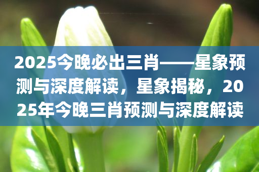 2025今晚必出三肖——星象预测与深度解读，星象揭今晚必出三肖2025_2025新澳门精准免费提供·精确判断秘，2025年今晚三肖预测与深度解读
