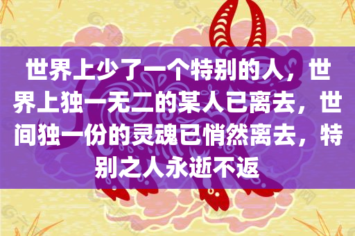 世界上少了一个特别的人，世界上独一无二的某人已离去，世间独一份的灵魂已悄然离去，特别之人永逝不返今晚必出三肖2025_2025新澳门精准免费提供·精确判断