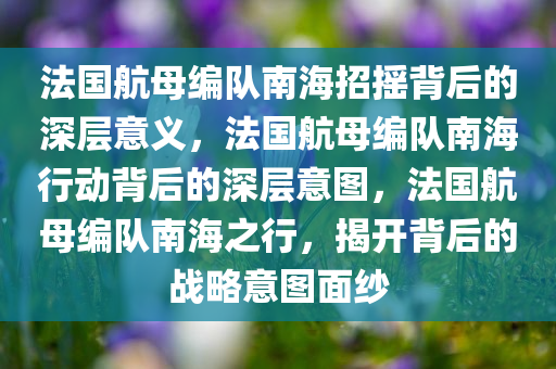 法国航母编队南海招摇背后的深层意义，法国航母编队南海行动背后的深层今晚必出三肖2025_2025新澳门精准免费提供·精确判断意图，法国航母编队南海之行，揭开背后的战略意图面纱