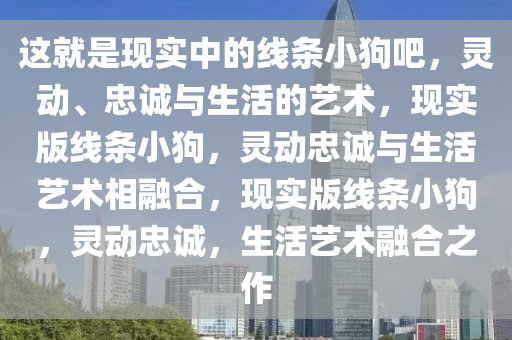 这就是现实中的线条小狗吧，灵动、忠诚与生活的艺术，现实版线条小狗，灵动忠诚与生活艺术相融合，现实版线条小狗，灵动忠诚，生活艺术融合之作今晚必出三肖2025_2025新澳门精准免费提供·精确判断