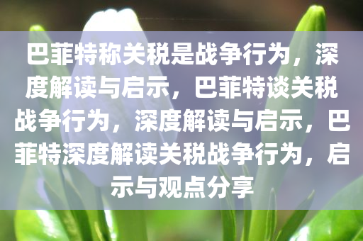 巴菲特称关税是战争行为，深度解读与启示，巴菲今晚必出三肖2025_2025新澳门精准免费提供·精确判断特谈关税战争行为，深度解读与启示，巴菲特深度解读关税战争行为，启示与观点分享