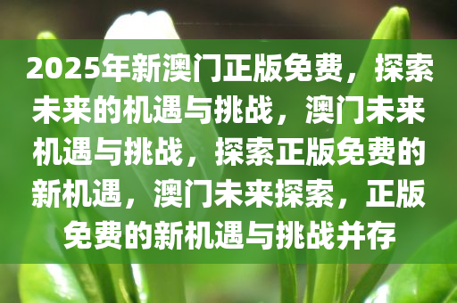 2025年新澳门正版免费，探索未来的机遇与挑战，澳门未来机遇与挑战，探索正版免费的新机遇，澳门未来探索，正版免费的新机遇与挑战并存