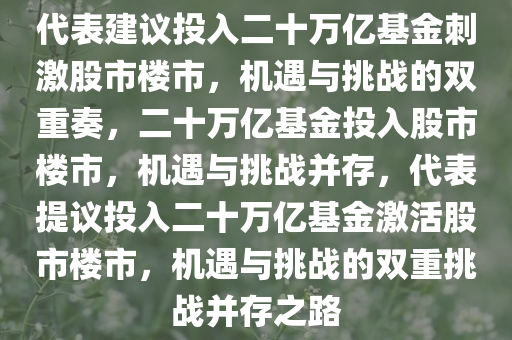 代表建议投入二十万亿基金刺激股市楼市，机遇与挑战的双重奏，二十万亿基金投入股市楼市，机遇与挑战并存，代表提议投入二十万亿基金激活股市楼市，机遇与挑战的双重挑战并存之路今晚必出三肖2025_2025新澳门精准免费提供·精确判断
