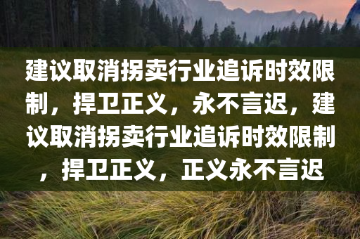 建议取消拐卖行业追诉时效限制，今晚必出三肖2025_2025新澳门精准免费提供·精确判断捍卫正义，永不言迟，建议取消拐卖行业追诉时效限制，捍卫正义，正义永不言迟