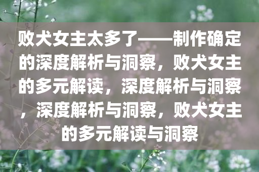 败犬女主太多了——制作确定的深度解析与洞察，败犬女主的多元解读，深度解析与洞察，深度解析与洞察，败犬女主的多元解读与洞察