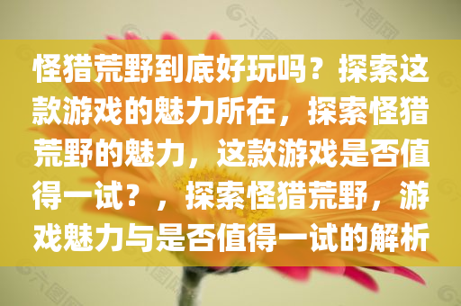 怪猎荒野到底好玩吗？探索这款游戏的魅力所在，探索怪猎荒野的魅力，这款游戏是否值得一试？，探索怪猎荒野，游戏魅力与是否值得一试的解析