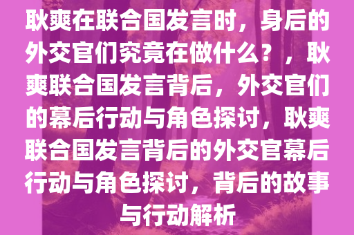 耿爽在联合国发言时，身后的外交官们究竟在做什么？，耿爽联合国发言背后，外交官们的幕后行动与角色探讨，耿爽联合国发言背后的外交官幕后行动与角色探讨，背后的故事与行动解析今晚必出三肖2025_2025新澳门精准免费提供·精确判断
