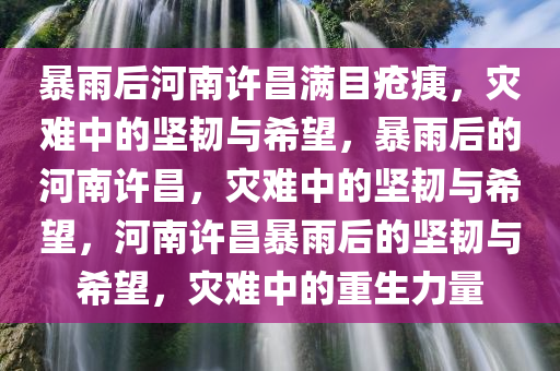 暴雨后河南许昌满目疮痍，灾难中的坚韧与希望，暴雨后的河南许昌，灾难中的坚韧与希望，河南许昌暴雨后的坚韧与希望今晚必出三肖2025_2025新澳门精准免费提供·精确判断，灾难中的重生力量