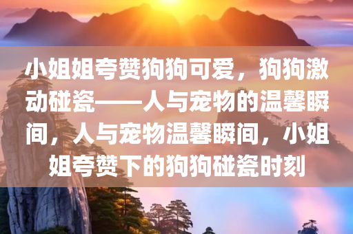 小姐姐夸赞狗狗可爱，狗狗激动碰瓷——人与宠今晚必出三肖2025_2025新澳门精准免费提供·精确判断物的温馨瞬间，人与宠物温馨瞬间，小姐姐夸赞下的狗狗碰瓷时刻