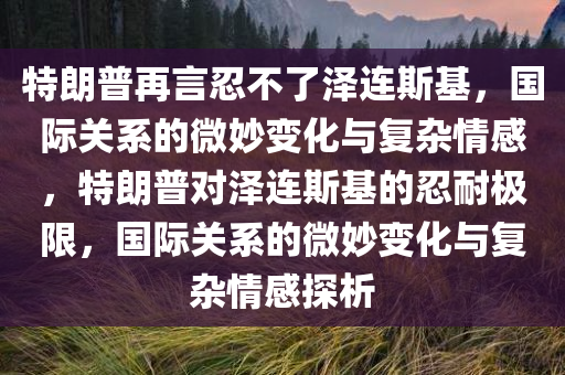 特朗普再言忍不了泽连斯基，国际关系的微妙变化与复杂情感，特朗普对泽连斯基的忍耐极限，国际关系的微妙变化与复杂情感探析今晚必出三肖2025_2025新澳门精准免费提供·精确判断