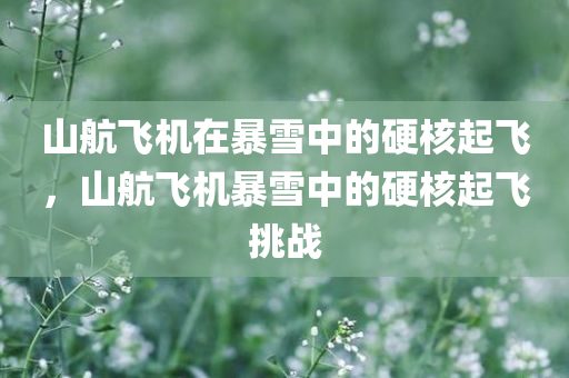 山航飞机在暴雪中的硬核起飞，山航飞机暴雪中的硬核起飞挑战今晚必出三肖2025_2025新澳门精准免费提供·精确判断