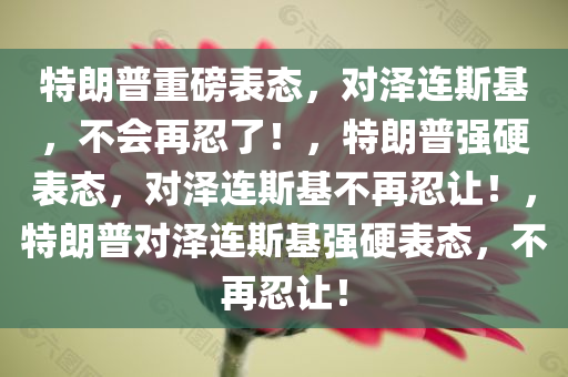 特朗普重磅表态，对泽连斯基，不会再忍了！，特朗普强硬表态，对泽连斯基不再忍让！，特朗普对泽连斯基强硬表态，不再忍今晚必出三肖2025_2025新澳门精准免费提供·精确判断让！