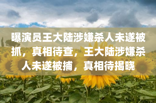 曝演员王大陆涉嫌杀人未遂被抓，真相待查，王大陆涉嫌杀人未遂被捕，真相待揭晓