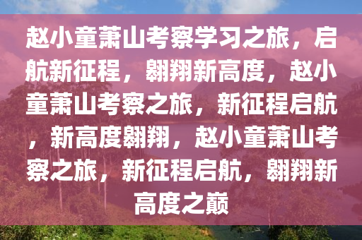 linwanting 第7页